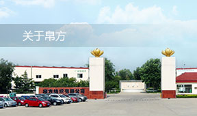 爱游戏真人体育